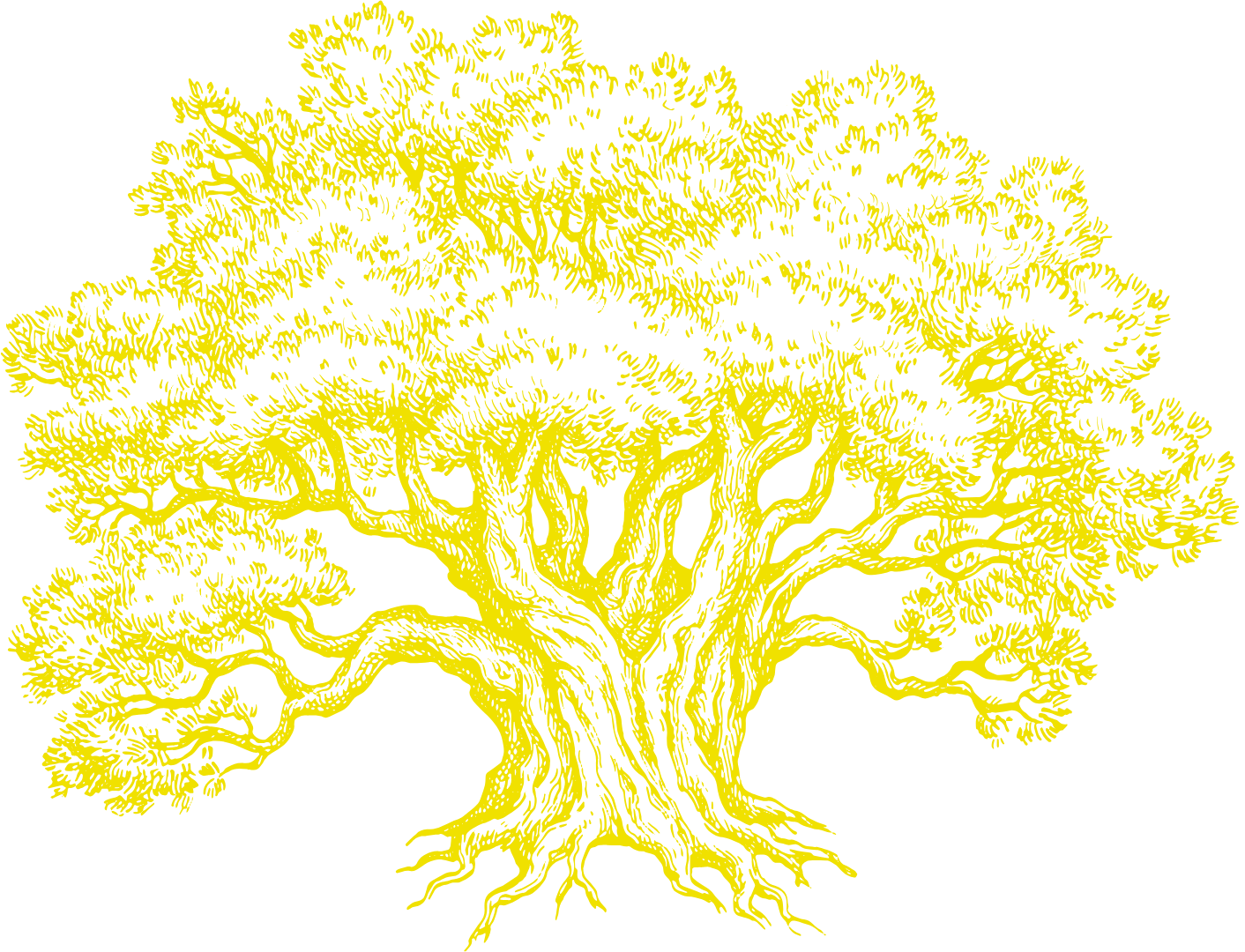 Search Governance and Growth Marketing